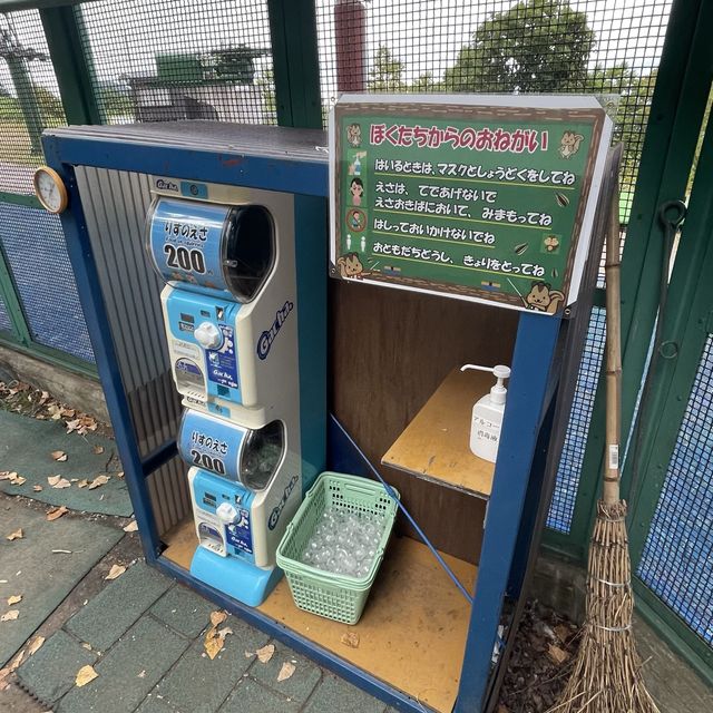 小樽でシマリスに会う！天狗山シマリス公園