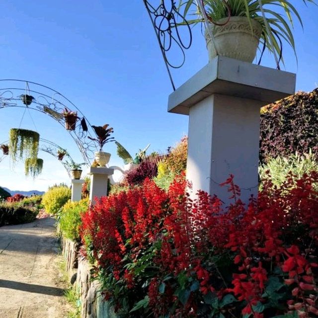 Sirao Flower Garden (Mini Amsterdam)