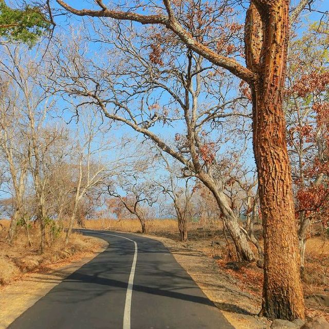 BALURAN NATIONAL PARK, BANYUWANGI