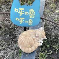 【 好可愛的小貓咪藝術裝置 】