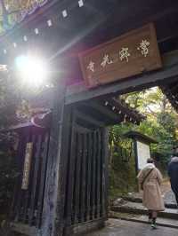 【京都】紅葉スポットの穴場？常寂光寺🍁