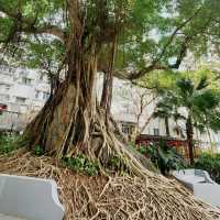 香港好去處 ～ 上環荷李活道公園 