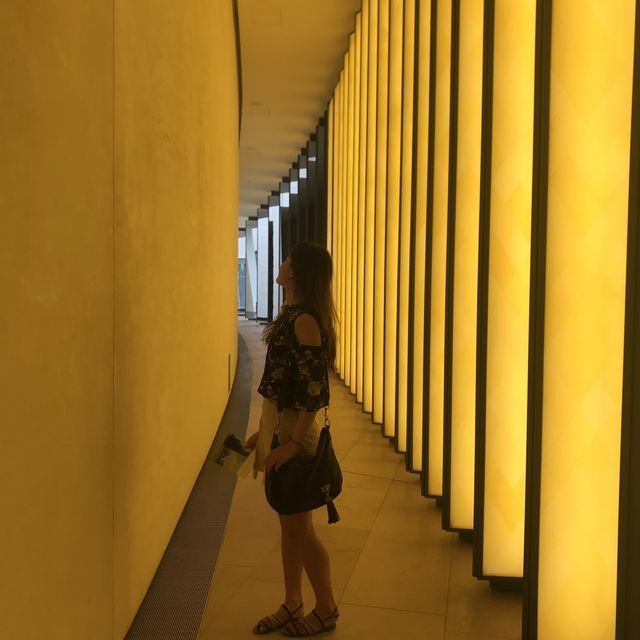 현대미술품이 가득한 루이비통 파운데이션💜