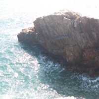 白臘灣到木棉洞再到萬柱海岸，一路美景奇景
