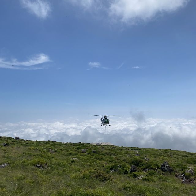 왕복 20km, 제주도 한라산 정복 완료 ⛰