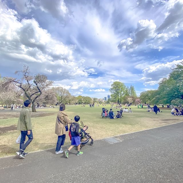 春の新宿御苑散歩