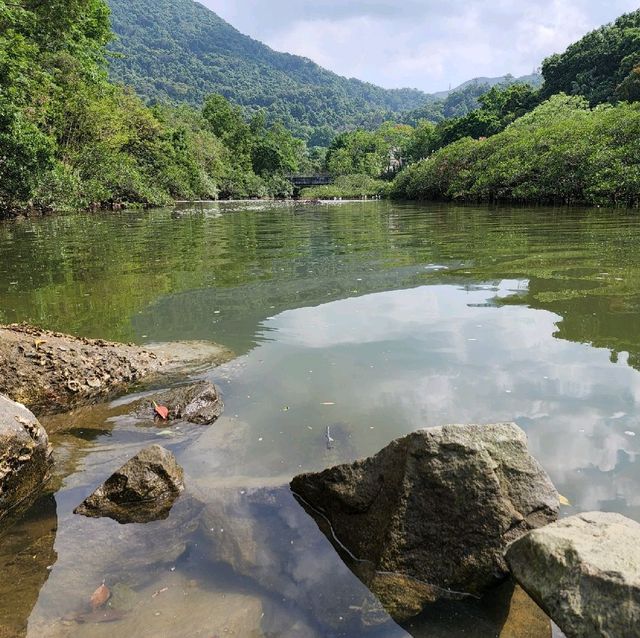 小白鷺餐廳