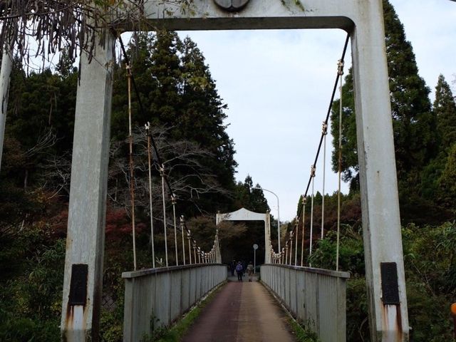 東京賞楓🍁好去處｜栗又之滝