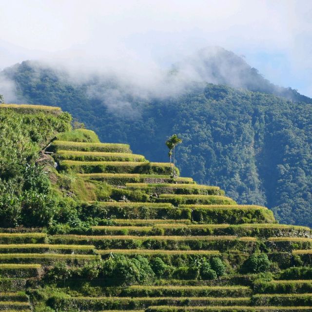 Batad - tranquil village with 360° view