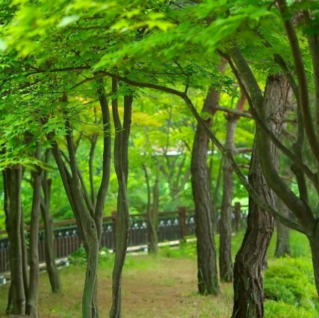 양주 캠핑장 추천 * 남경수목원캠핑장