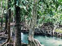 Pa Phru Tha Pom Khlong Song Nam ท่าปอมคลองสองน้ำ 