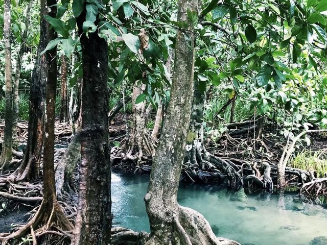 Pa Phru Tha Pom Khlong Song Nam ท่าปอมคลองสองน้ำ 