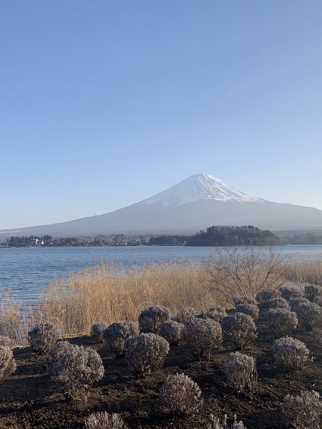Best weather for Mount Fuji