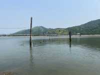 陰澳浮水木頭路