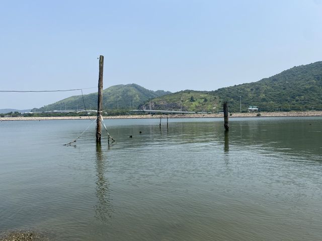 陰澳浮水木頭路