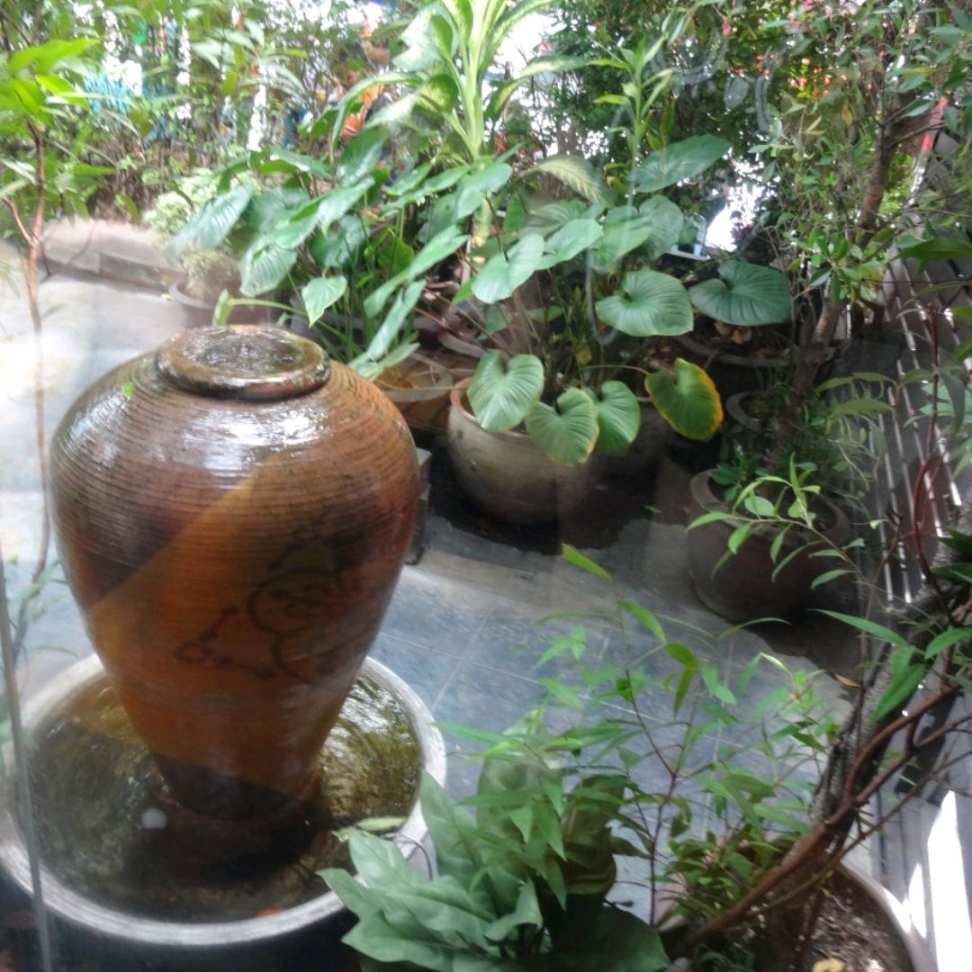 Asia Herb Association Recommendations On Trip Moments Trip Com Travel Guide
