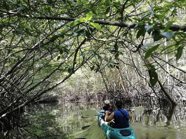 Kayaking for pleasure and exercise