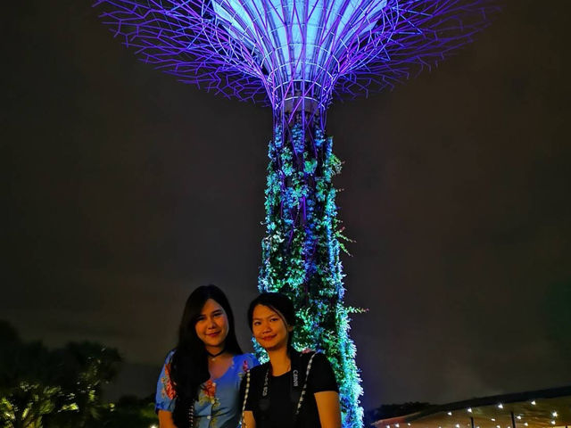 Gardens by the Bay