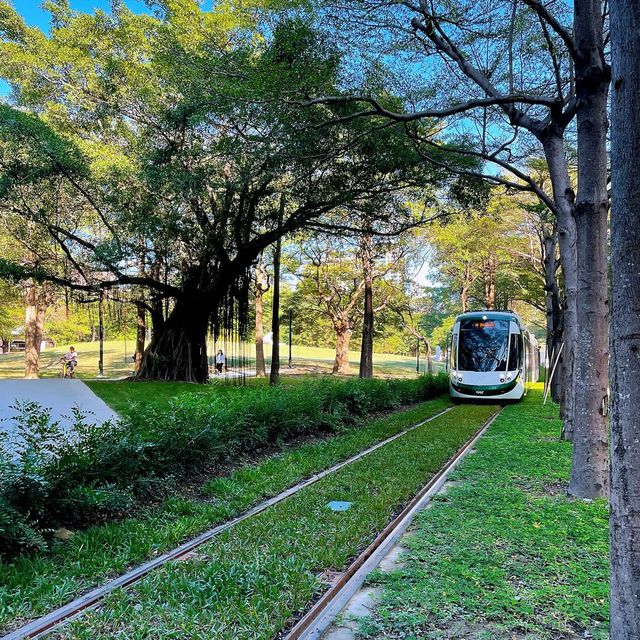 高雄市鼓山區 ｜ 高雄輕軌龍貓隧道