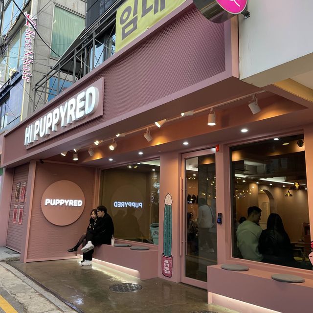 강남역 카페, 하이퍼피레드
