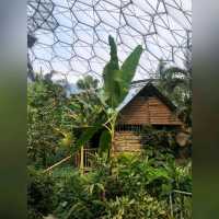 化腐朽為神奇～Eden Project @Cornwall
