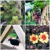 化腐朽為神奇～Eden Project @Cornwall