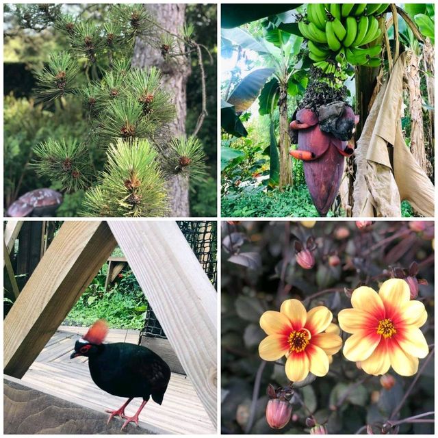 化腐朽為神奇～Eden Project @Cornwall