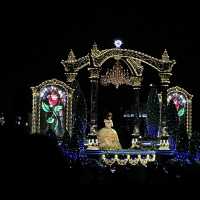 東京迪士尼樂園⭐️✨