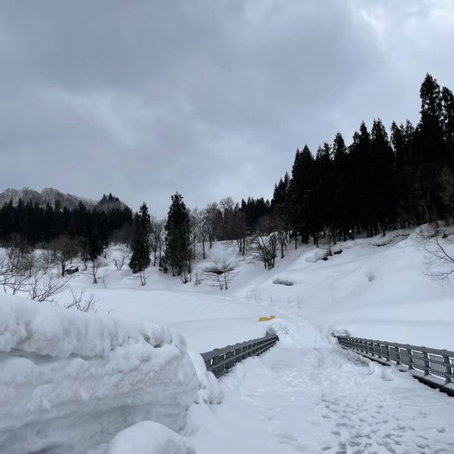 【新潟県】雪景色を楽しむ素敵なカフェへ