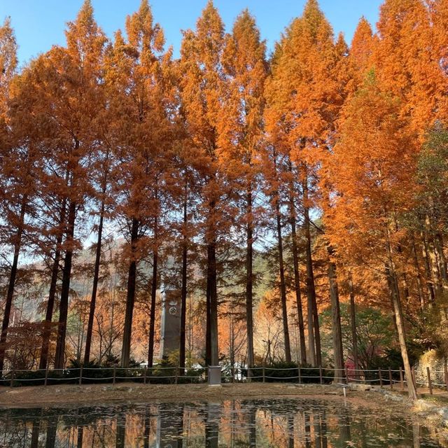 장태산자연휴양림
