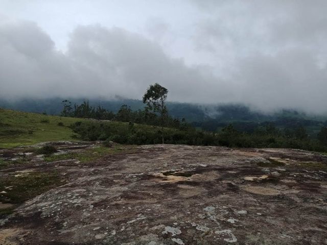 Meghamalai - Wavy mountains 
