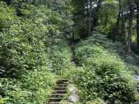 Hike to Chimney Top - Great Smokies 