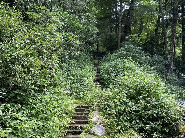 Hike to Chimney Top - Great Smokies 