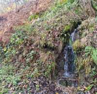 Roslin Glen Country Park walk 🍂🏴󠁧󠁢󠁳󠁣󠁴⛰