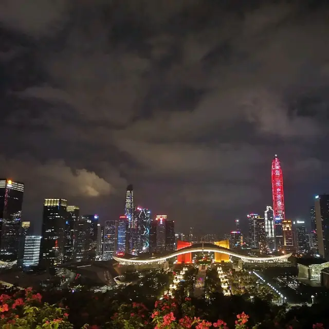 Shenzhen skyline from Lianhua mountaintop