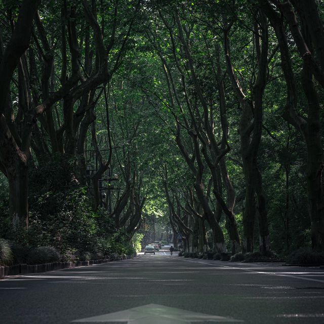 Hangzhou - not your standard sprawling city 