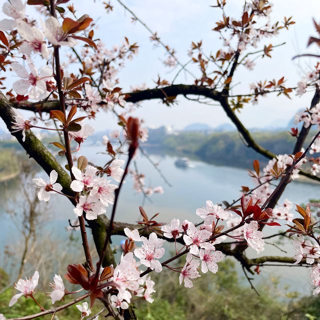 Serene Getaway in Guilin, China 🌸 