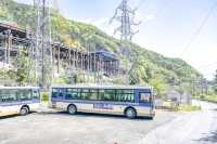 新緑の小仏バス停付近