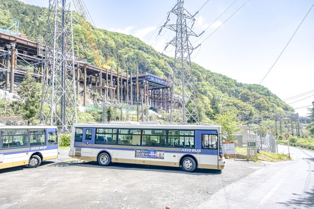 新緑の小仏バス停付近