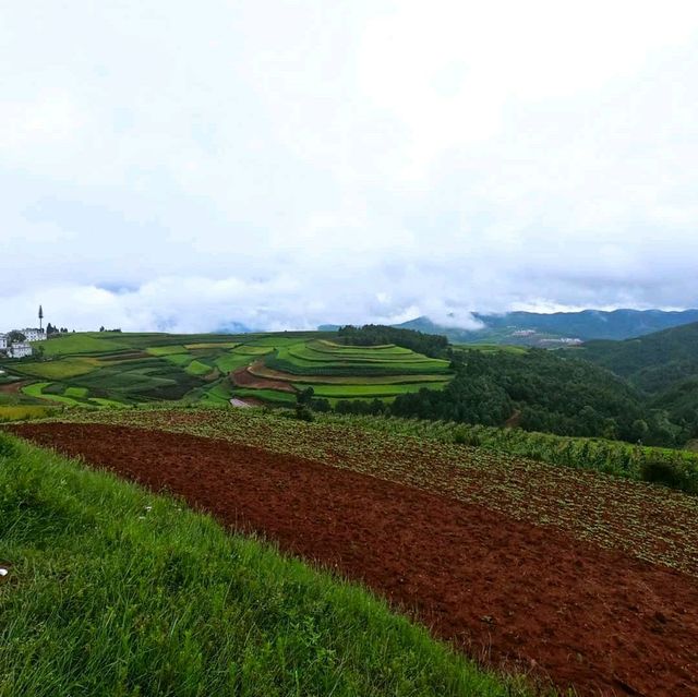 Dongchuan Red Land 🇨🇳 Yunnan