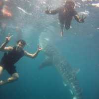 Cebu Philippines 🇵🇭 adventure 2018