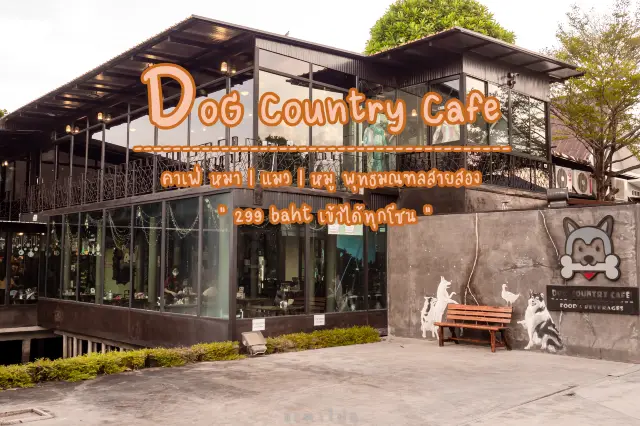 Dog Country Café พุทธมณฑลสายสอง