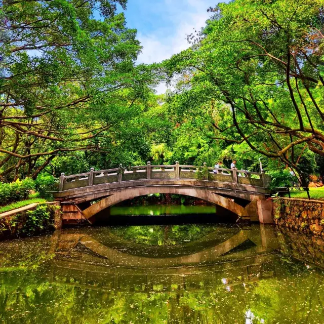 Rose garden park with a chill vibe! 🌳🌺 