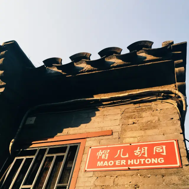 在北京抓住秋天的尾巴賞銀杏