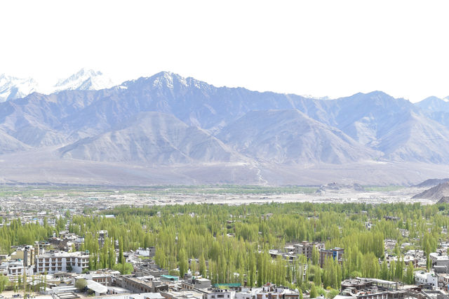 Leh palace in leh ladakh
