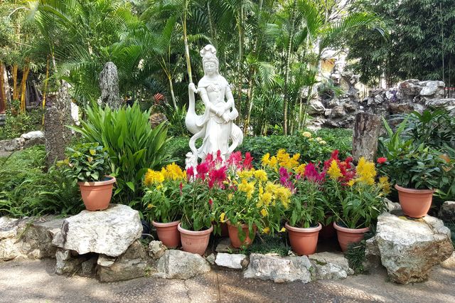 One of the Eight Scenic Spots of Macau: "Exploring the Beauty of Lou Lim Ieoc Garden"