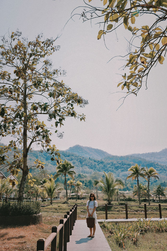 Stayed in a French colonial-style mansion in Laos.