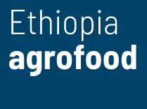 agrofood Ethiopia 2024 | Ethiopian Skylight Hotel