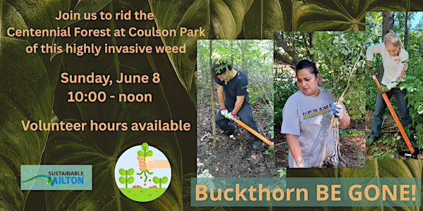 Invasive Weed Pull | 758 Coulson Ave