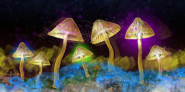 The Science of Psychedelics with Dr Sam Gandy | Bridgwater Arts Centre